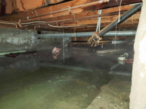 Best Water damage cleanup near me  in Eudora, KS