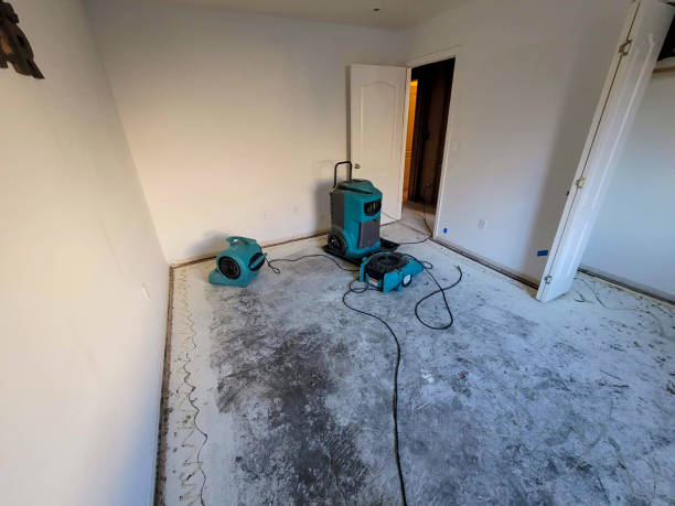 Best 24/7 water damage repair  in Eudora, KS