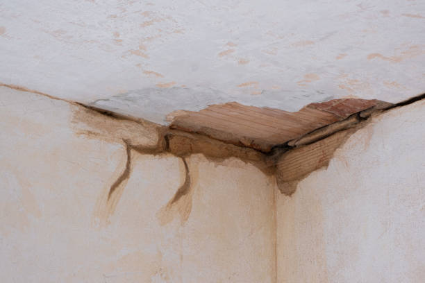 Best Water damage cleanup near me  in Eudora, KS