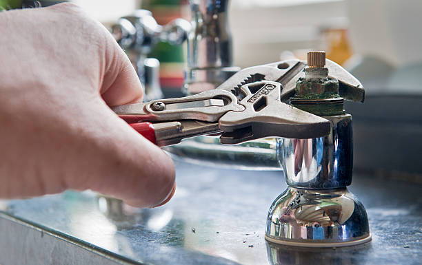 Best Flooded house restoration  in Eudora, KS