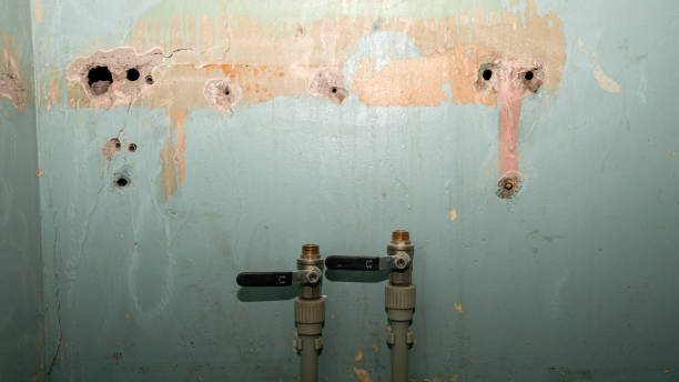 Best Flood restoration services  in Eudora, KS