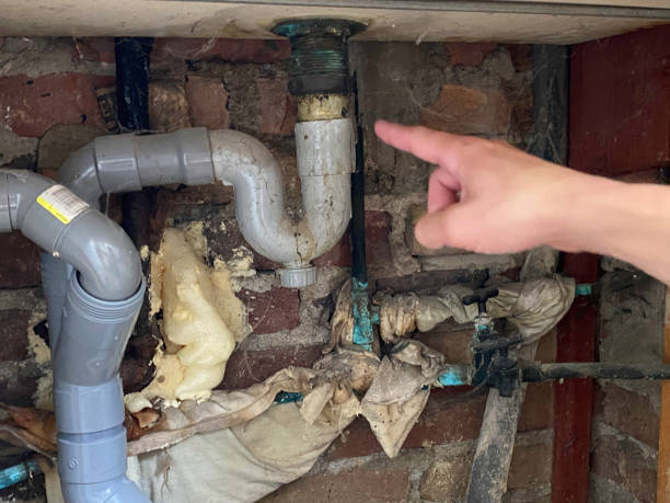 Best Basement water damage restoration  in Eudora, KS