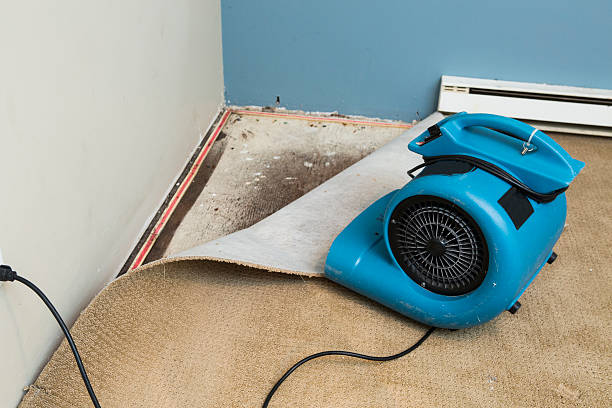 Best Water damage restoration near me  in Eudora, KS
