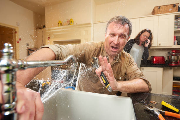 Best Local water damage restoration  in Eudora, KS